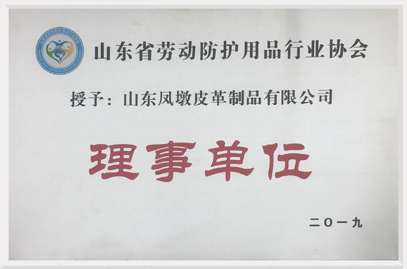 劳动防护用品行业协会理事单位 